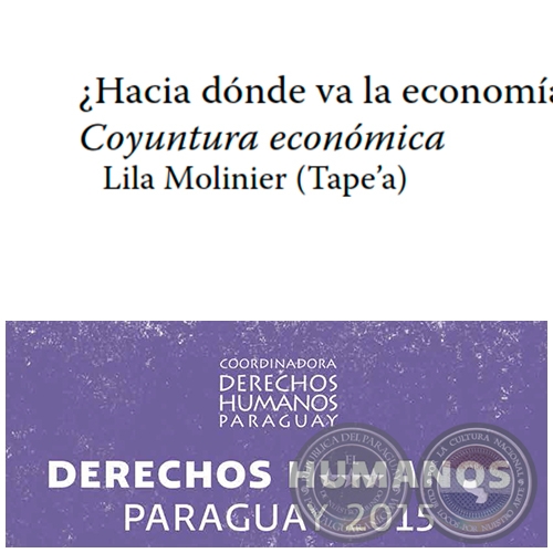 Hacia dónde va la economía  Conyuntura económica - DERECHOS HUMANOS EN PARAGUAY 2015 - Autora: LILA MOLINIER - Páginas 37 al 54 - Año 2015